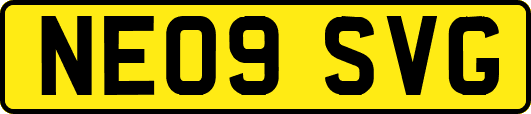 NE09SVG
