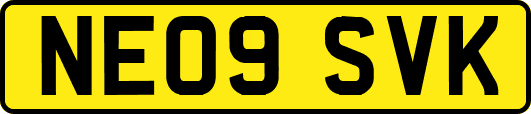 NE09SVK