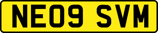 NE09SVM