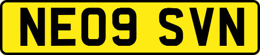 NE09SVN