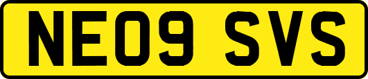 NE09SVS