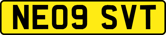 NE09SVT