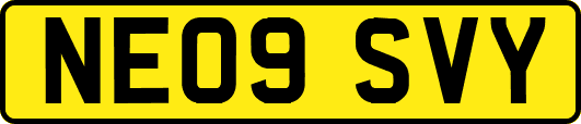 NE09SVY