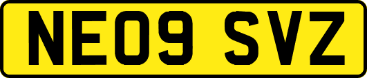 NE09SVZ