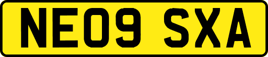 NE09SXA
