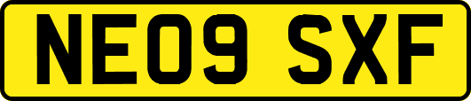 NE09SXF