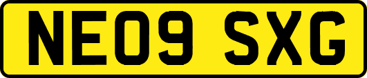 NE09SXG