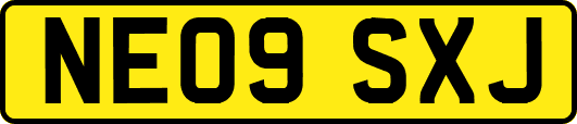 NE09SXJ