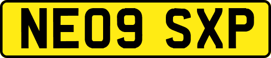 NE09SXP