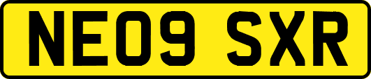 NE09SXR