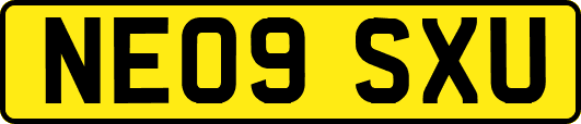 NE09SXU