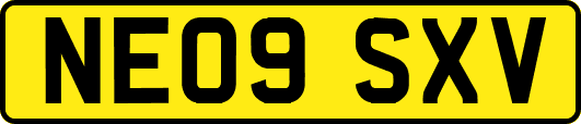 NE09SXV