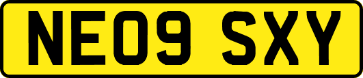 NE09SXY