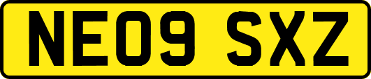 NE09SXZ