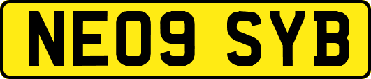 NE09SYB