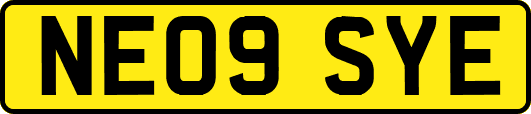 NE09SYE