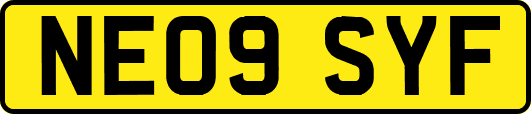 NE09SYF
