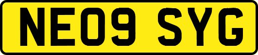 NE09SYG