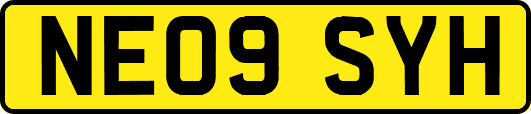 NE09SYH