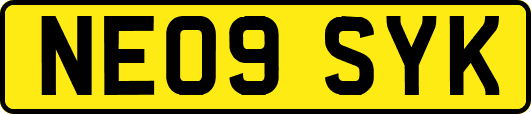 NE09SYK