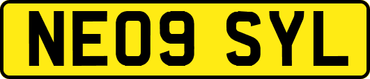 NE09SYL