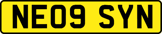 NE09SYN