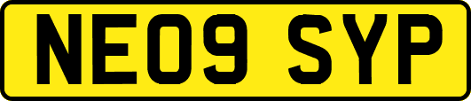 NE09SYP