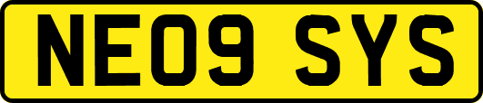 NE09SYS