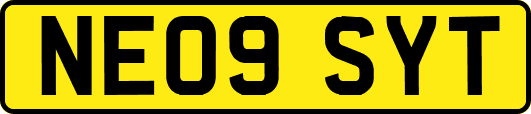 NE09SYT