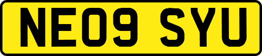 NE09SYU
