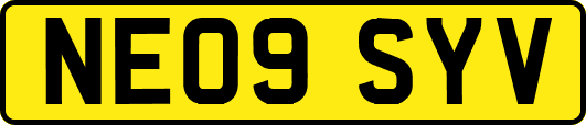 NE09SYV