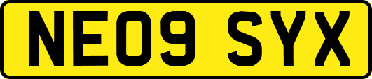 NE09SYX