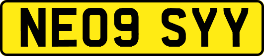 NE09SYY