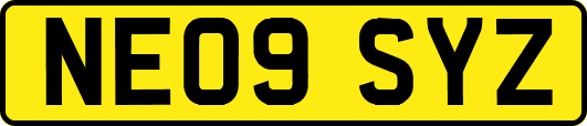 NE09SYZ