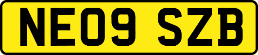 NE09SZB