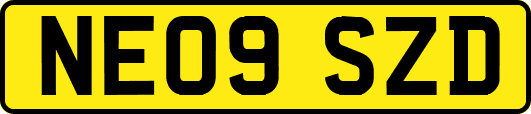 NE09SZD