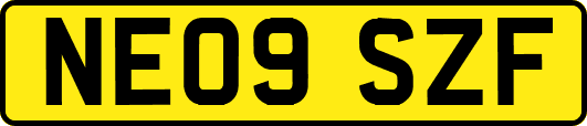 NE09SZF