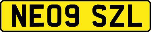 NE09SZL