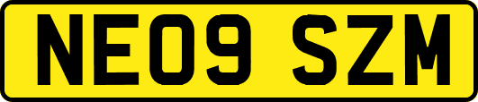 NE09SZM