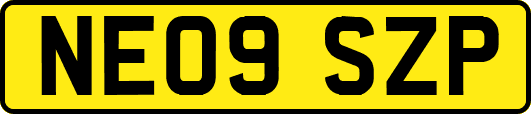 NE09SZP