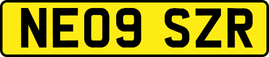NE09SZR