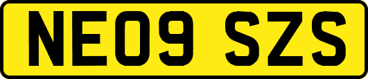 NE09SZS