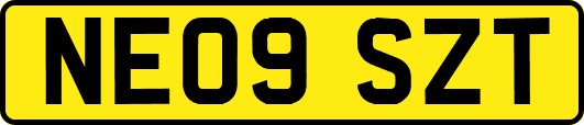 NE09SZT
