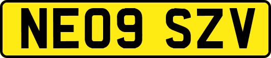 NE09SZV