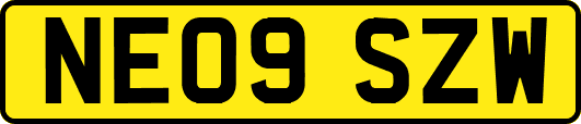 NE09SZW