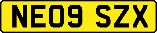 NE09SZX