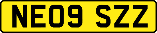 NE09SZZ