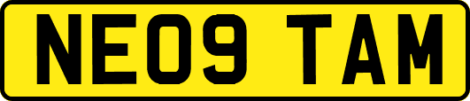 NE09TAM