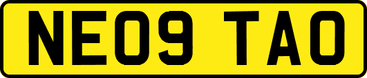 NE09TAO