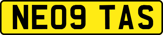 NE09TAS